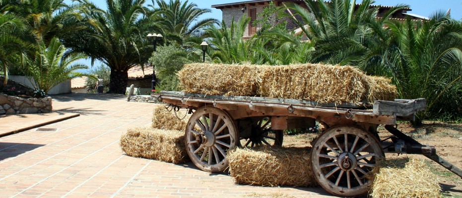 Angolo dell'azienda